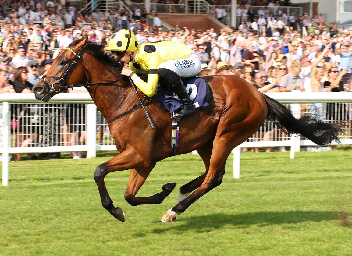Bow Echo winning at Newbury