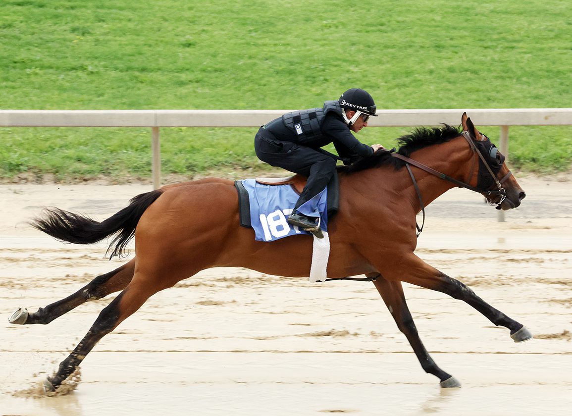 Friday's Racing Insights: Pricey Son of Galilean Debuts at the Spa