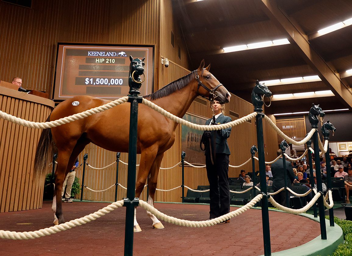 Monday's Racing Insights: Well-Bred Into Mischief Filly Trust Account Debuts At Ellis Park Monday