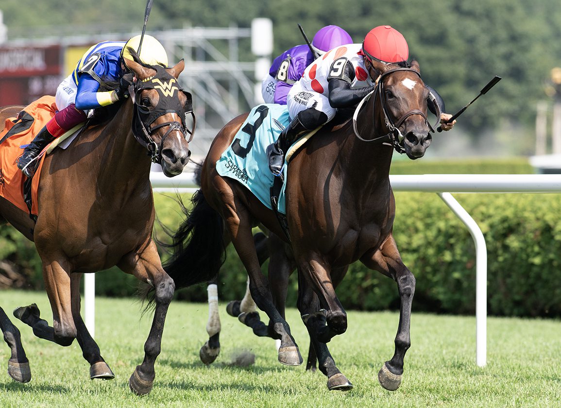 Saratoga Maidens Presented by Keeneland: Small in Stature, but In Her Glory Shows She Can Run