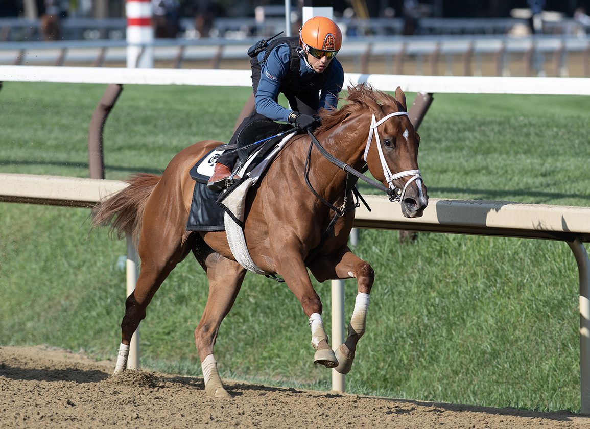 Saturday Insights: Big Families Unveiled at The Spa while Big Tickets Debut Out West