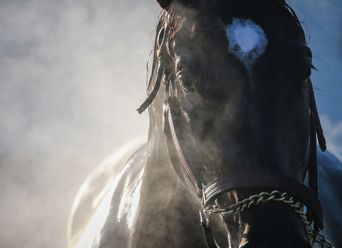 Summer Breezes Sponsored By OBS: Friday, August 15, 2025