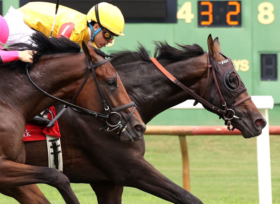 Freshman Sire Silver State Gets First Winner With Swamp King At Ellis Park
