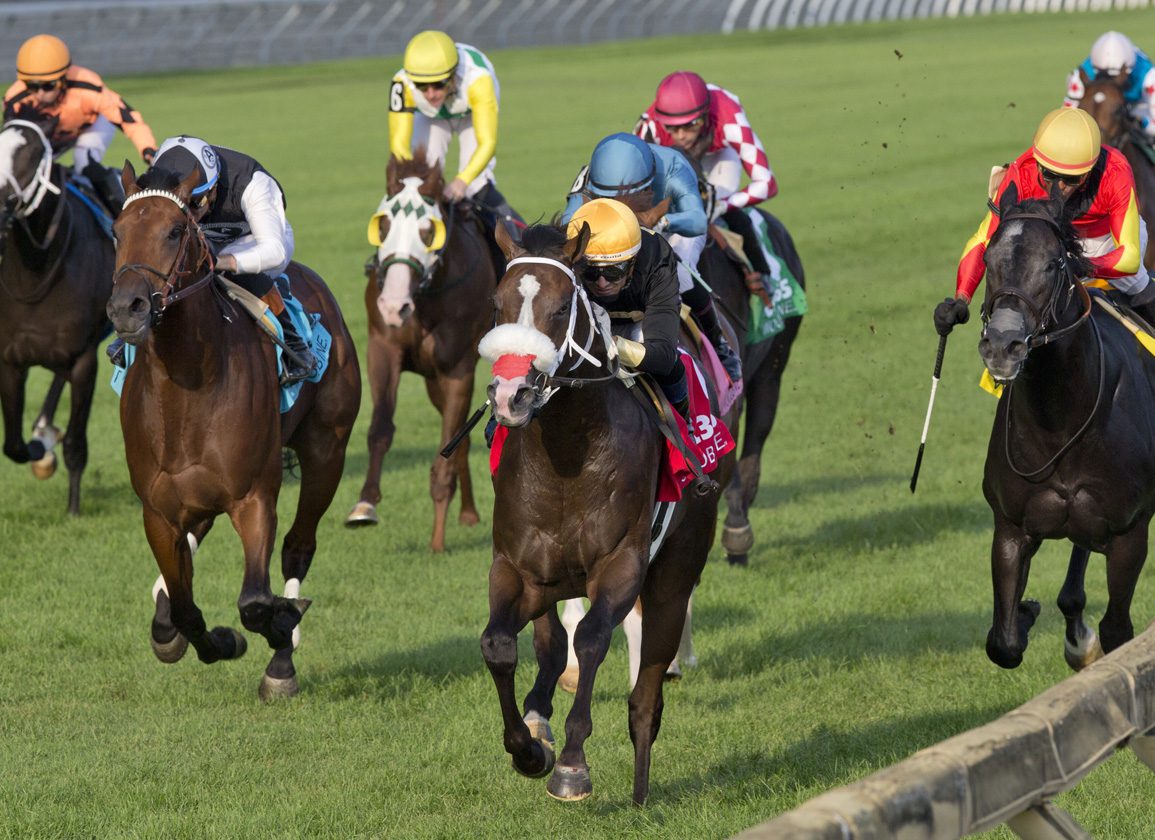 War Front's 'TDN Rising Star' Two Out Hero Shines In Soaring Free