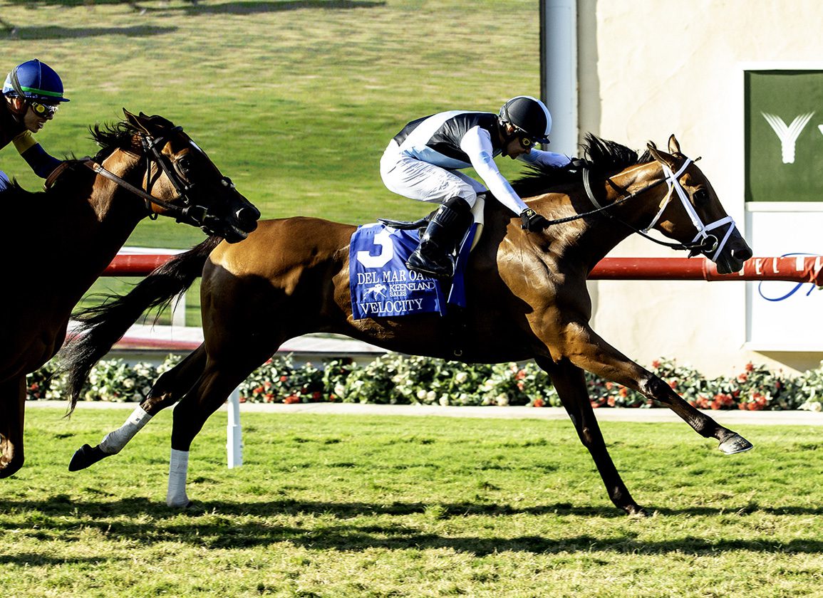 Nyquist's Velocity Sneaks Up the Fence to Shock Del Mar Oaks