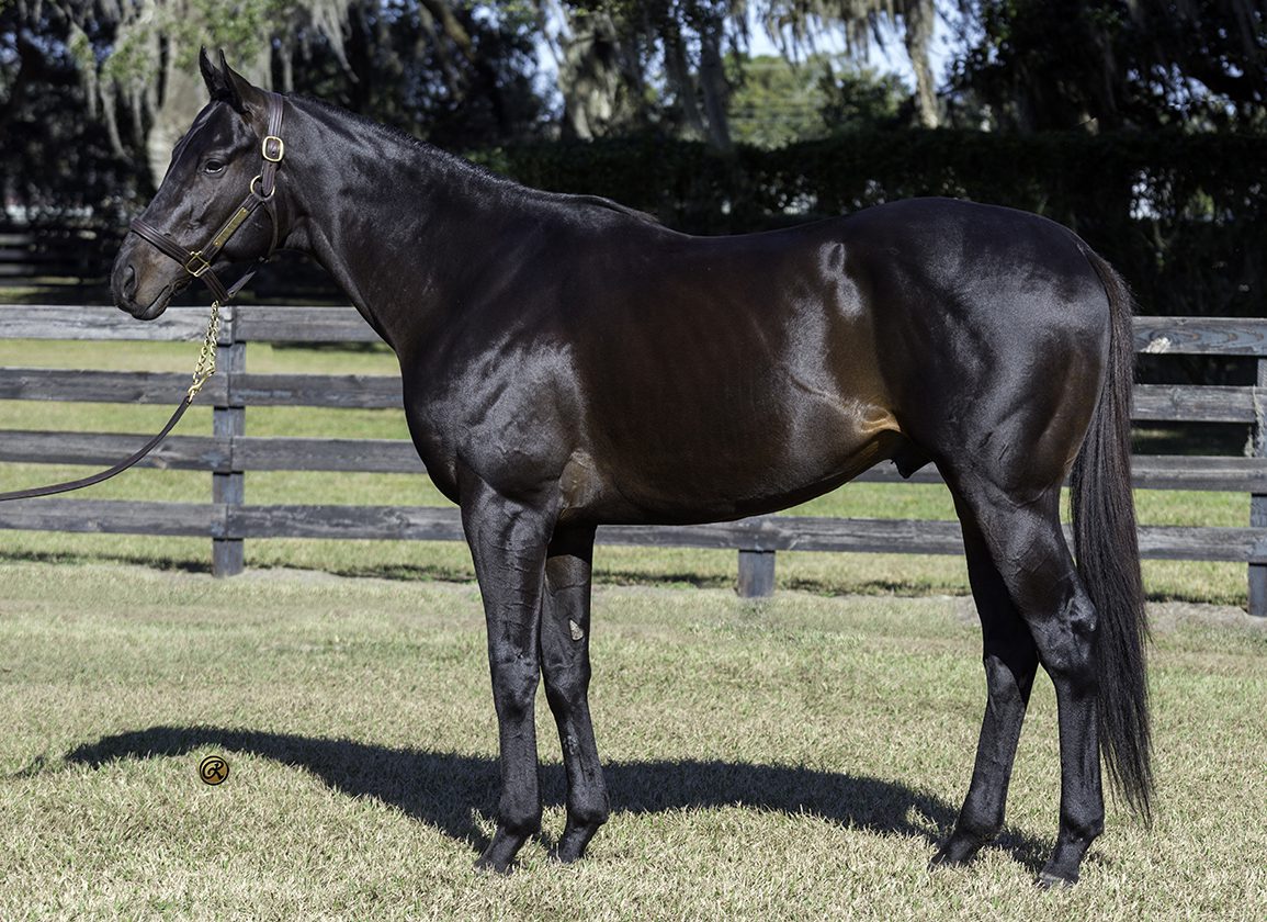 Summer Breezes Sponsored By OBS: Monday, August 18, 2025