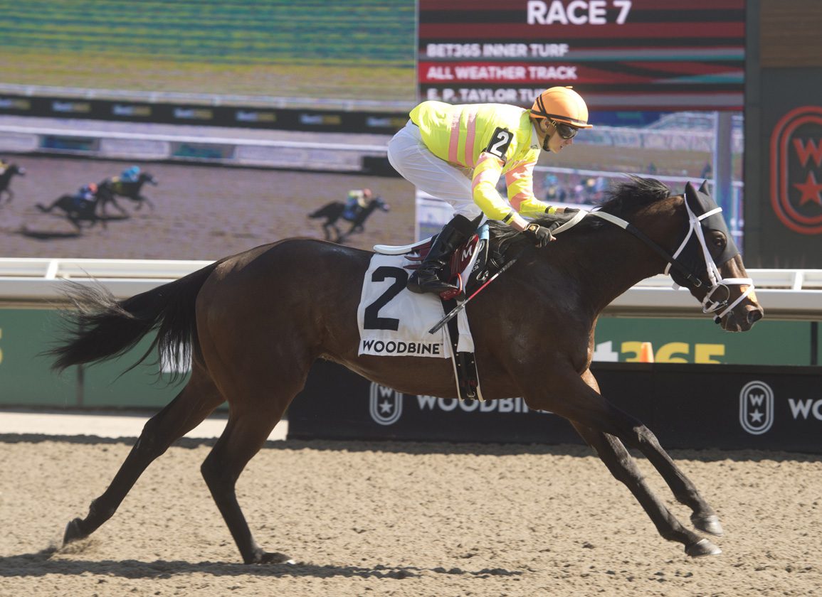 Mansetti, Faber Offer Ulwellings a 1-2 Punch in Search of King's Plate Glory